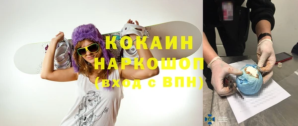 гашик Михайловка