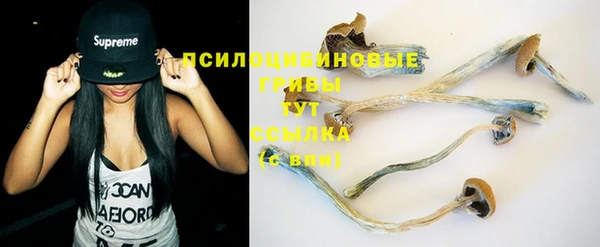 гашик Михайловка
