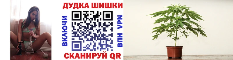 даркнет сайт  Острогожск  mega зеркало  МАРИХУАНА ГИДРОПОН 